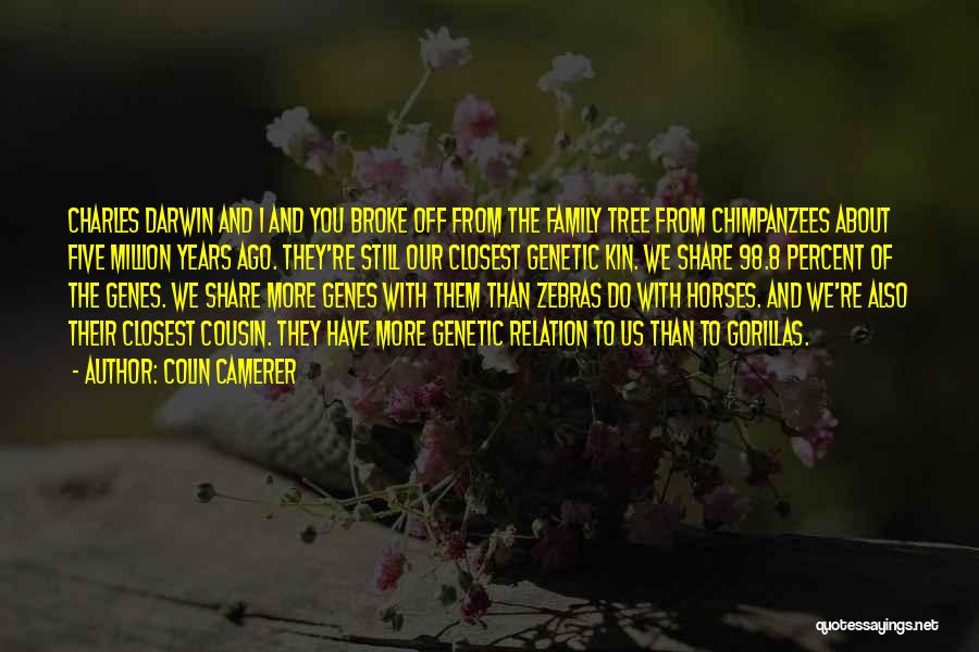 Colin Camerer Quotes: Charles Darwin And I And You Broke Off From The Family Tree From Chimpanzees About Five Million Years Ago. They're