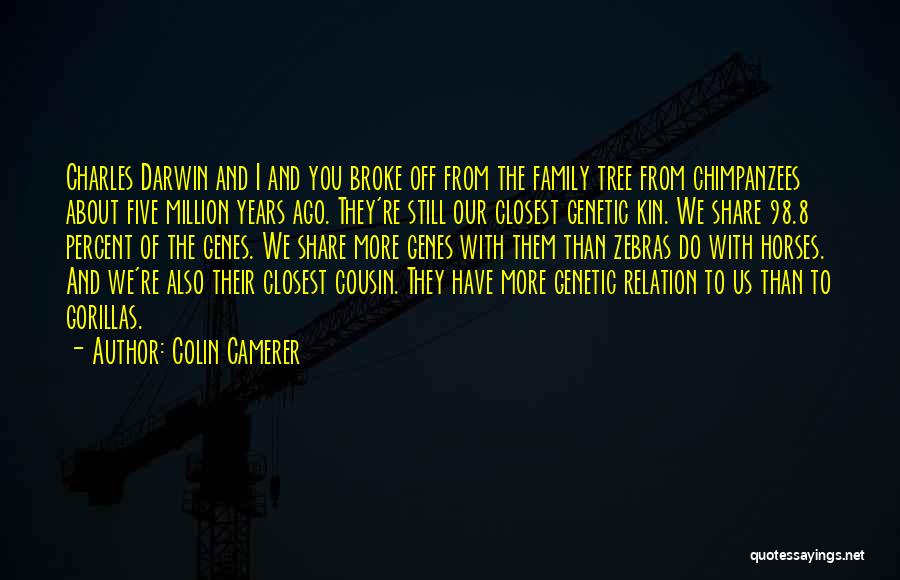 Colin Camerer Quotes: Charles Darwin And I And You Broke Off From The Family Tree From Chimpanzees About Five Million Years Ago. They're