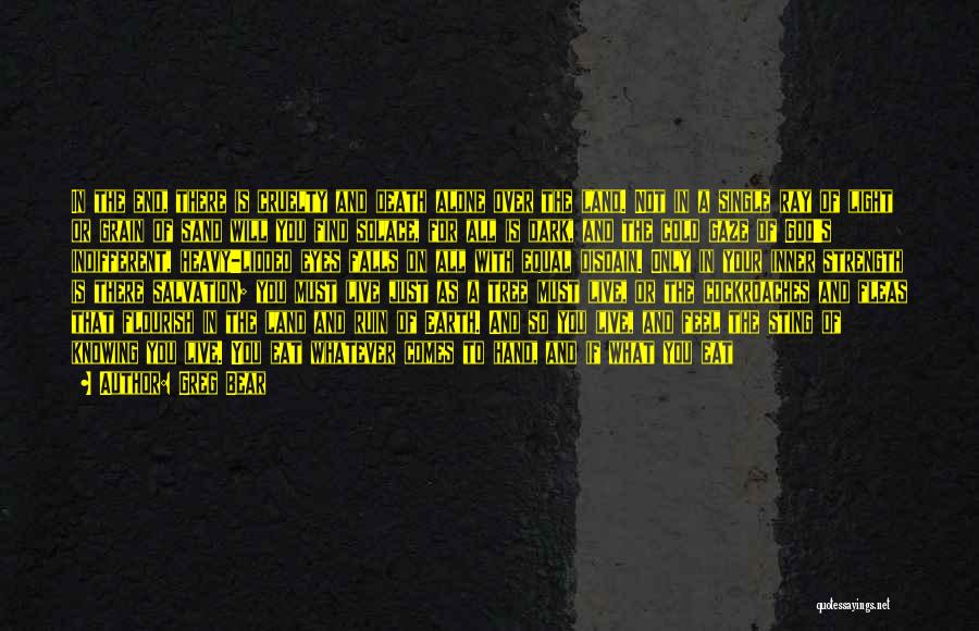 Greg Bear Quotes: In The End, There Is Cruelty And Death Alone Over The Land. Not In A Single Ray Of Light Or