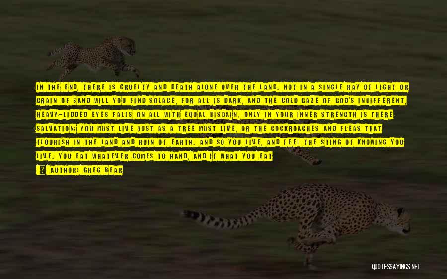 Greg Bear Quotes: In The End, There Is Cruelty And Death Alone Over The Land. Not In A Single Ray Of Light Or