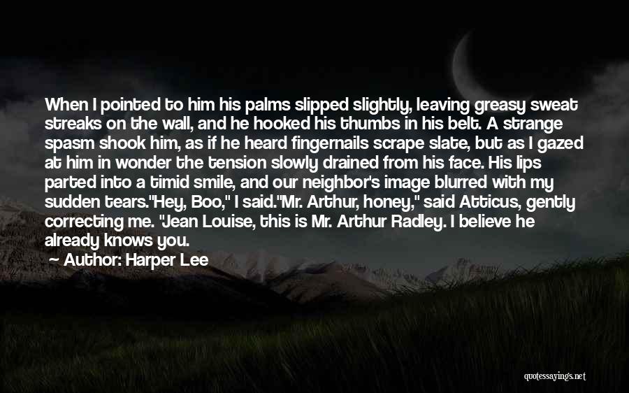 Harper Lee Quotes: When I Pointed To Him His Palms Slipped Slightly, Leaving Greasy Sweat Streaks On The Wall, And He Hooked His