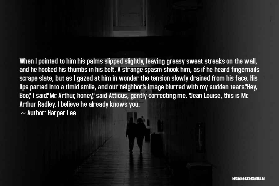 Harper Lee Quotes: When I Pointed To Him His Palms Slipped Slightly, Leaving Greasy Sweat Streaks On The Wall, And He Hooked His