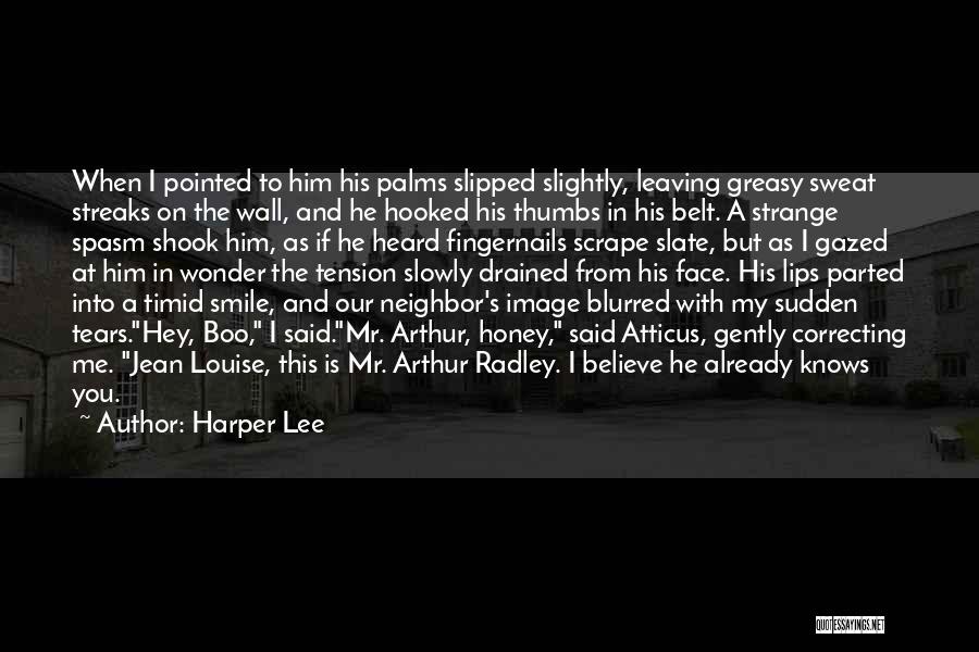 Harper Lee Quotes: When I Pointed To Him His Palms Slipped Slightly, Leaving Greasy Sweat Streaks On The Wall, And He Hooked His