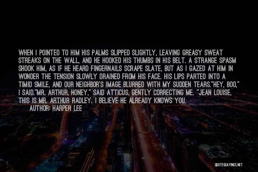 Harper Lee Quotes: When I Pointed To Him His Palms Slipped Slightly, Leaving Greasy Sweat Streaks On The Wall, And He Hooked His