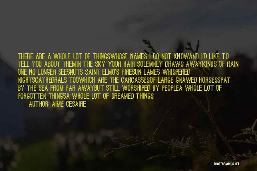 Aime Cesaire Quotes: There Are A Whole Lot Of Thingswhose Names I Do Not Knowand I'd Like To Tell You About Themin The