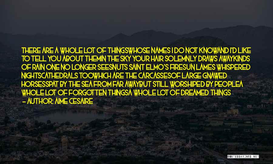 Aime Cesaire Quotes: There Are A Whole Lot Of Thingswhose Names I Do Not Knowand I'd Like To Tell You About Themin The