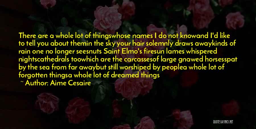 Aime Cesaire Quotes: There Are A Whole Lot Of Thingswhose Names I Do Not Knowand I'd Like To Tell You About Themin The