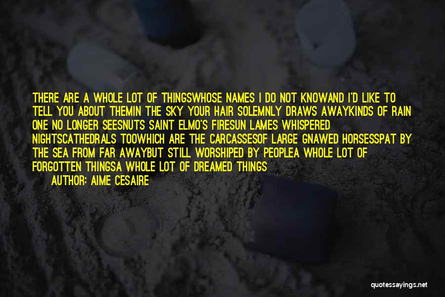 Aime Cesaire Quotes: There Are A Whole Lot Of Thingswhose Names I Do Not Knowand I'd Like To Tell You About Themin The