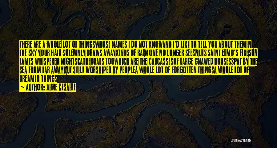 Aime Cesaire Quotes: There Are A Whole Lot Of Thingswhose Names I Do Not Knowand I'd Like To Tell You About Themin The