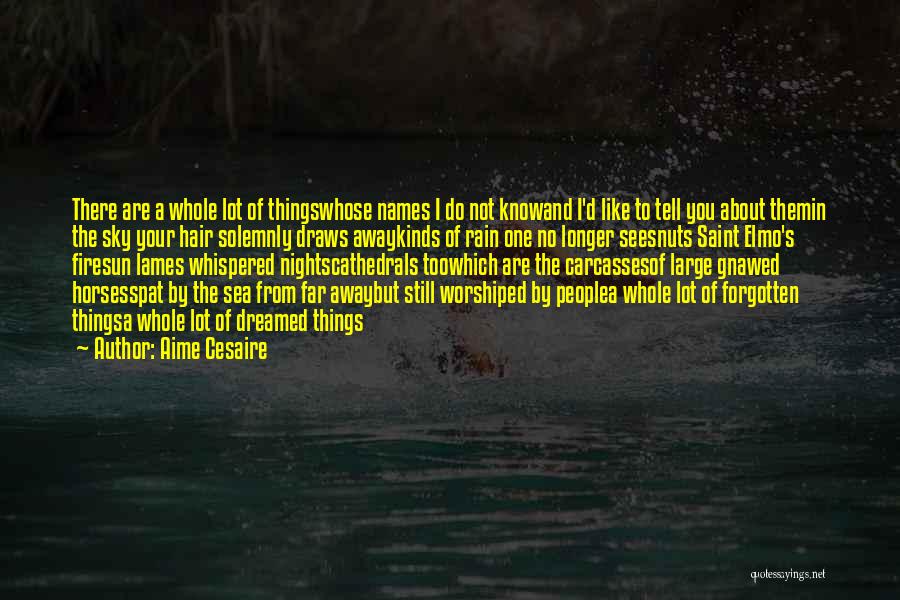 Aime Cesaire Quotes: There Are A Whole Lot Of Thingswhose Names I Do Not Knowand I'd Like To Tell You About Themin The