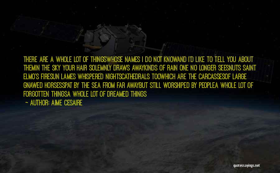 Aime Cesaire Quotes: There Are A Whole Lot Of Thingswhose Names I Do Not Knowand I'd Like To Tell You About Themin The