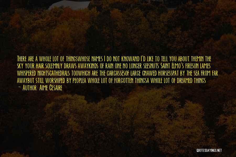 Aime Cesaire Quotes: There Are A Whole Lot Of Thingswhose Names I Do Not Knowand I'd Like To Tell You About Themin The