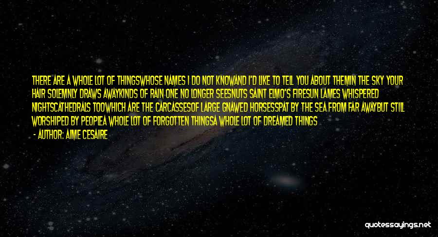 Aime Cesaire Quotes: There Are A Whole Lot Of Thingswhose Names I Do Not Knowand I'd Like To Tell You About Themin The