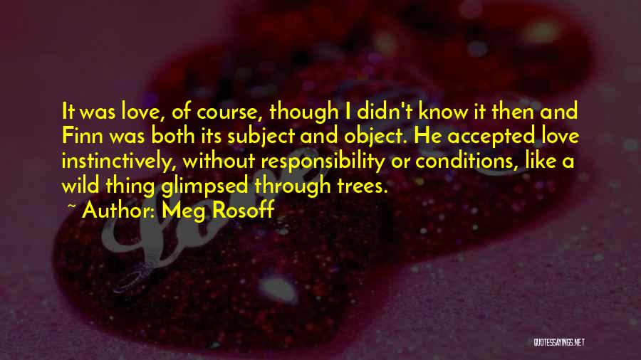 Meg Rosoff Quotes: It Was Love, Of Course, Though I Didn't Know It Then And Finn Was Both Its Subject And Object. He