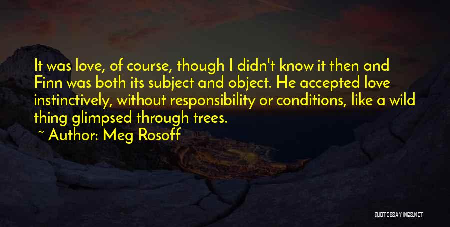 Meg Rosoff Quotes: It Was Love, Of Course, Though I Didn't Know It Then And Finn Was Both Its Subject And Object. He