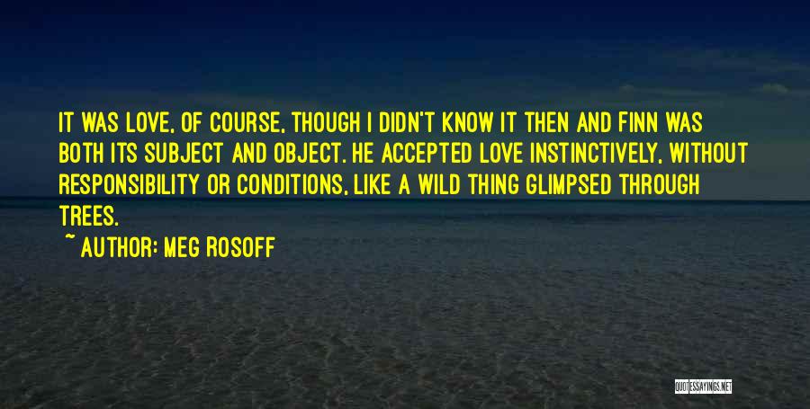 Meg Rosoff Quotes: It Was Love, Of Course, Though I Didn't Know It Then And Finn Was Both Its Subject And Object. He