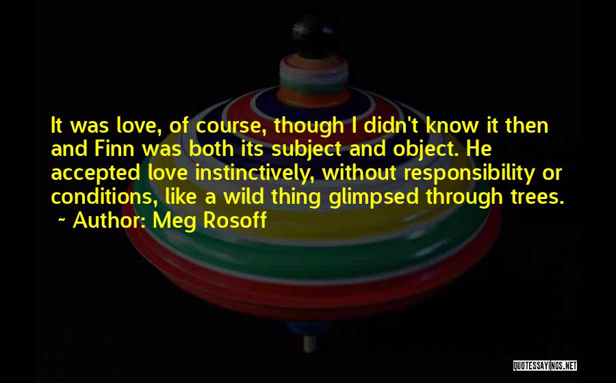Meg Rosoff Quotes: It Was Love, Of Course, Though I Didn't Know It Then And Finn Was Both Its Subject And Object. He