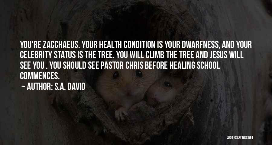 S.A. David Quotes: You're Zacchaeus. Your Health Condition Is Your Dwarfness, And Your Celebrity Status Is The Tree. You Will Climb The Tree