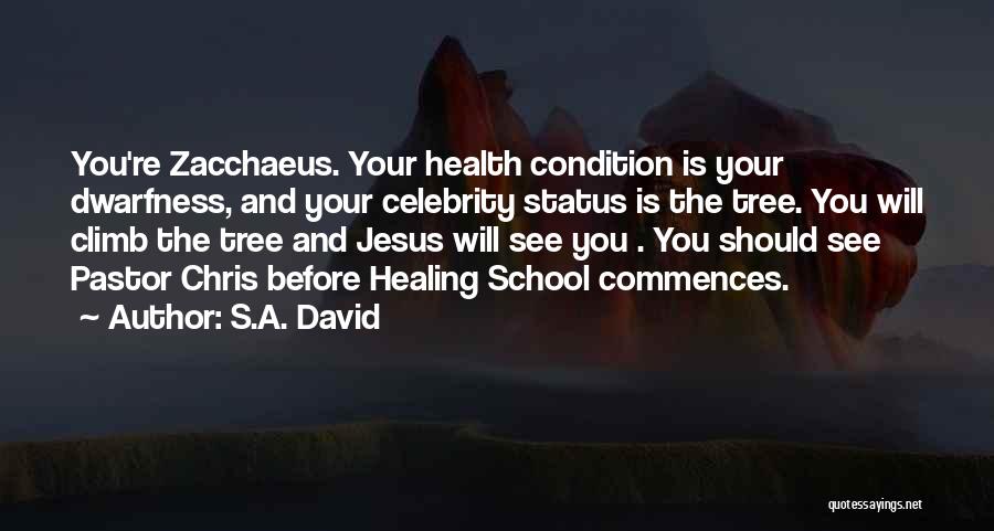 S.A. David Quotes: You're Zacchaeus. Your Health Condition Is Your Dwarfness, And Your Celebrity Status Is The Tree. You Will Climb The Tree