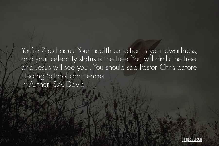 S.A. David Quotes: You're Zacchaeus. Your Health Condition Is Your Dwarfness, And Your Celebrity Status Is The Tree. You Will Climb The Tree