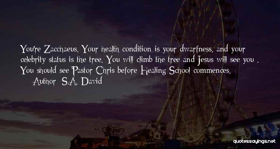 S.A. David Quotes: You're Zacchaeus. Your Health Condition Is Your Dwarfness, And Your Celebrity Status Is The Tree. You Will Climb The Tree