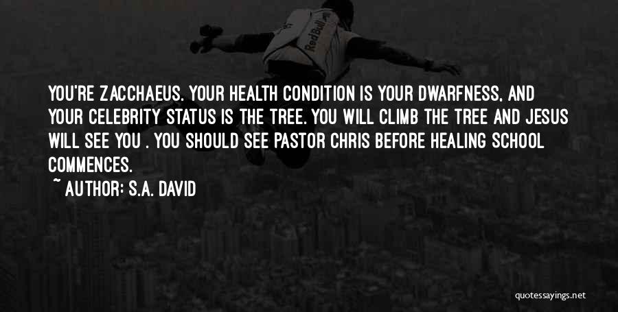 S.A. David Quotes: You're Zacchaeus. Your Health Condition Is Your Dwarfness, And Your Celebrity Status Is The Tree. You Will Climb The Tree