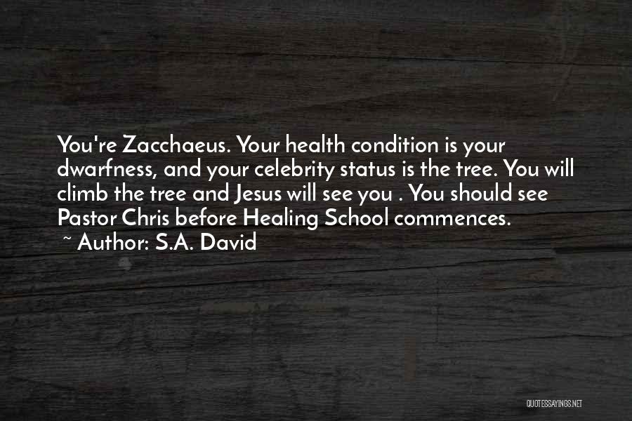 S.A. David Quotes: You're Zacchaeus. Your Health Condition Is Your Dwarfness, And Your Celebrity Status Is The Tree. You Will Climb The Tree
