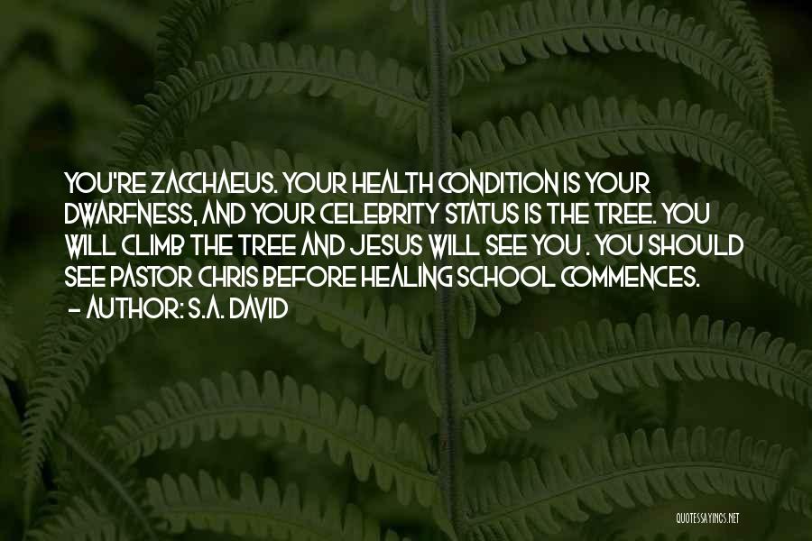 S.A. David Quotes: You're Zacchaeus. Your Health Condition Is Your Dwarfness, And Your Celebrity Status Is The Tree. You Will Climb The Tree