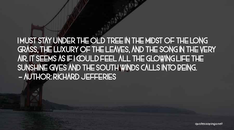 Richard Jefferies Quotes: I Must Stay Under The Old Tree In The Midst Of The Long Grass, The Luxury Of The Leaves, And