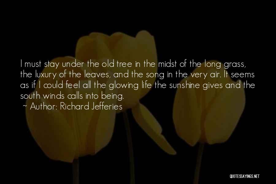 Richard Jefferies Quotes: I Must Stay Under The Old Tree In The Midst Of The Long Grass, The Luxury Of The Leaves, And