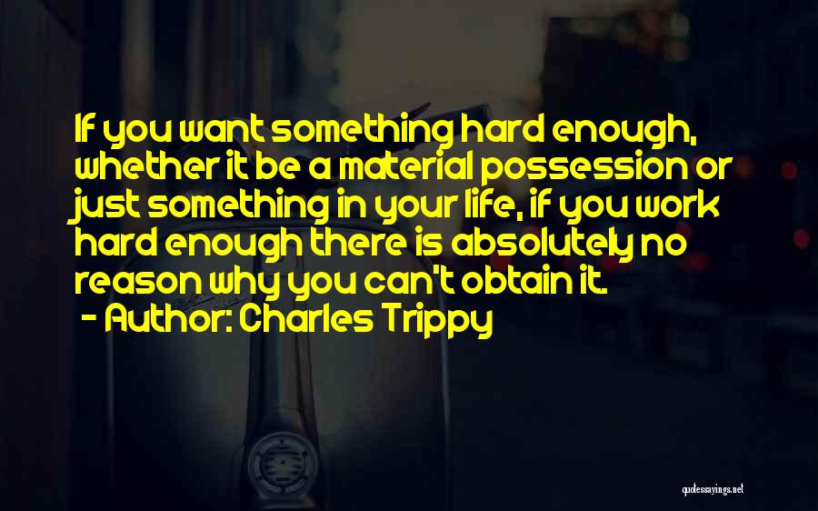 Charles Trippy Quotes: If You Want Something Hard Enough, Whether It Be A Material Possession Or Just Something In Your Life, If You