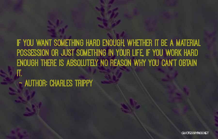 Charles Trippy Quotes: If You Want Something Hard Enough, Whether It Be A Material Possession Or Just Something In Your Life, If You