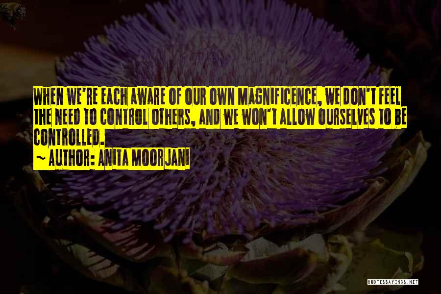 Anita Moorjani Quotes: When We're Each Aware Of Our Own Magnificence, We Don't Feel The Need To Control Others, And We Won't Allow