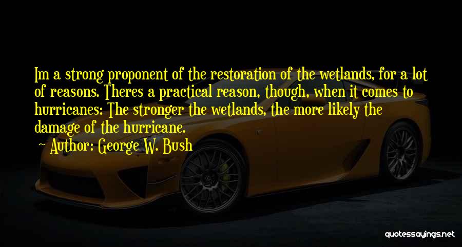 George W. Bush Quotes: Im A Strong Proponent Of The Restoration Of The Wetlands, For A Lot Of Reasons. Theres A Practical Reason, Though,