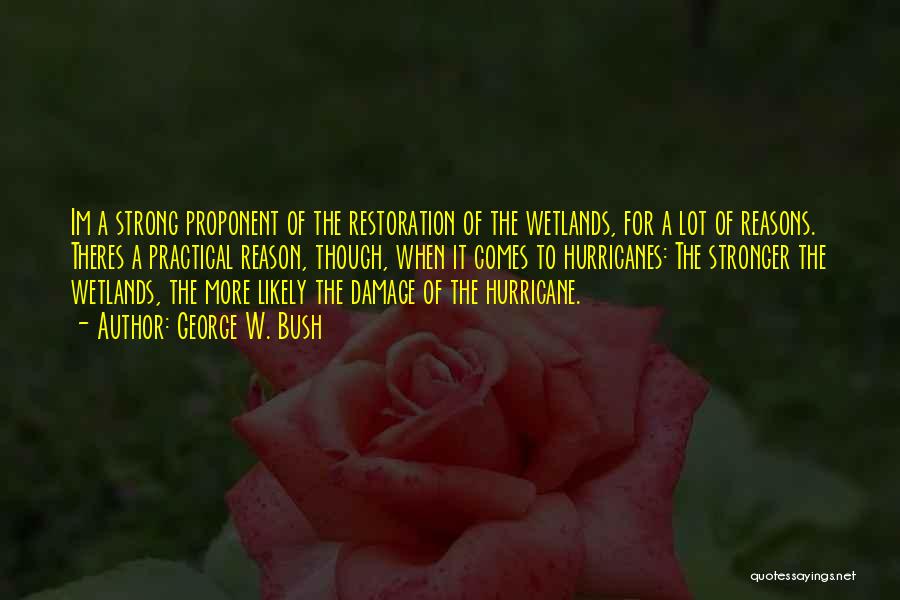 George W. Bush Quotes: Im A Strong Proponent Of The Restoration Of The Wetlands, For A Lot Of Reasons. Theres A Practical Reason, Though,