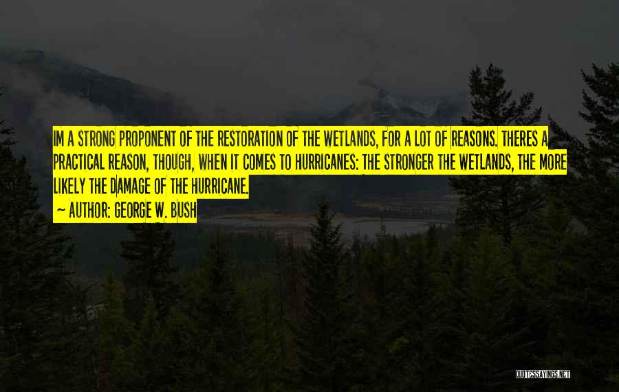 George W. Bush Quotes: Im A Strong Proponent Of The Restoration Of The Wetlands, For A Lot Of Reasons. Theres A Practical Reason, Though,