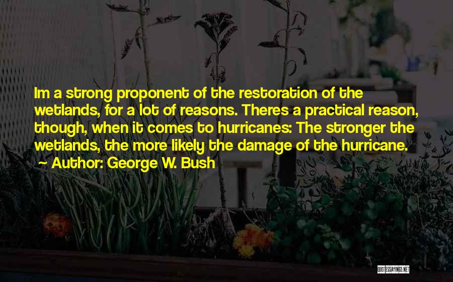 George W. Bush Quotes: Im A Strong Proponent Of The Restoration Of The Wetlands, For A Lot Of Reasons. Theres A Practical Reason, Though,