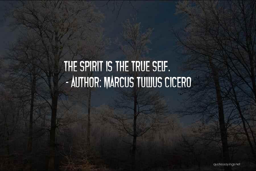 Marcus Tullius Cicero Quotes: The Spirit Is The True Self.