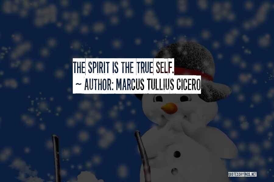 Marcus Tullius Cicero Quotes: The Spirit Is The True Self.