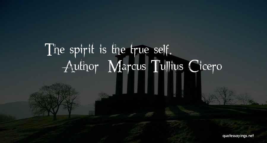 Marcus Tullius Cicero Quotes: The Spirit Is The True Self.