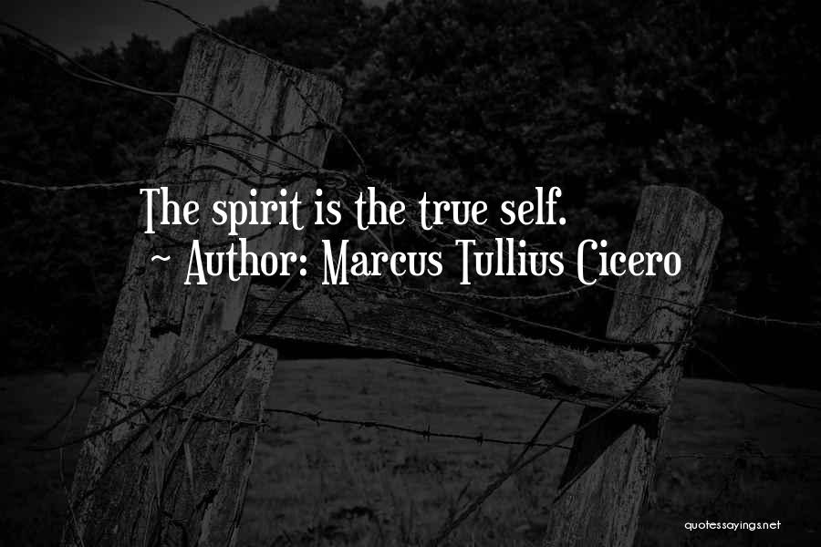 Marcus Tullius Cicero Quotes: The Spirit Is The True Self.