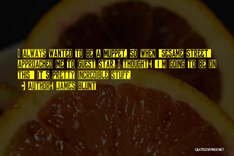 James Blunt Quotes: I Always Wanted To Be A Muppet. So When 'sesame Street' Approached Me To Guest Star, I Thought: 'i'm Going