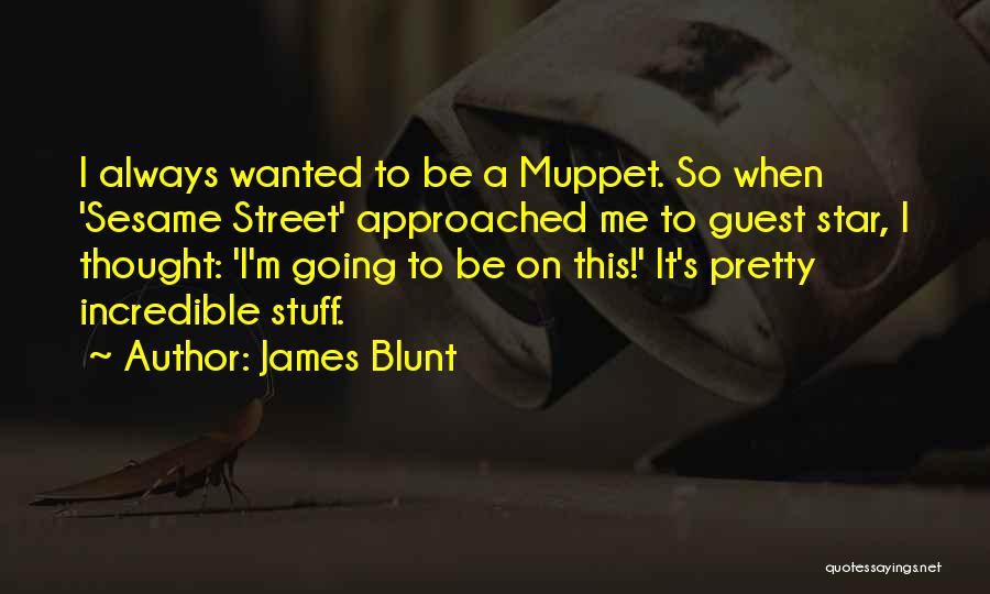 James Blunt Quotes: I Always Wanted To Be A Muppet. So When 'sesame Street' Approached Me To Guest Star, I Thought: 'i'm Going