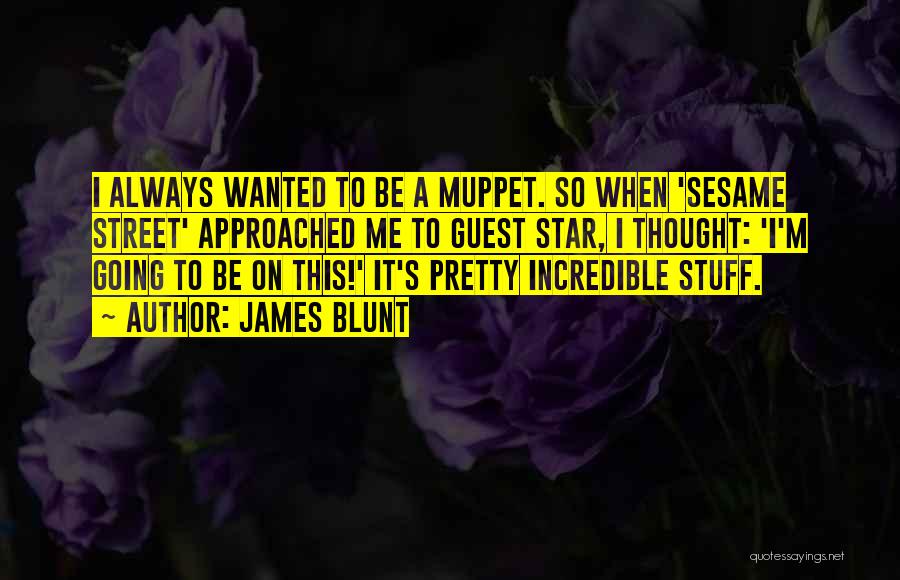 James Blunt Quotes: I Always Wanted To Be A Muppet. So When 'sesame Street' Approached Me To Guest Star, I Thought: 'i'm Going