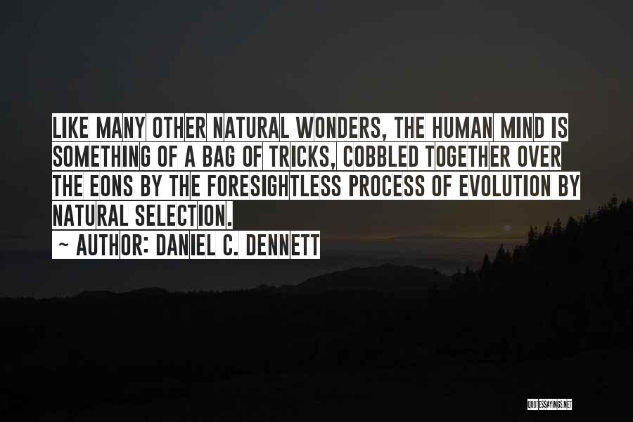 Daniel C. Dennett Quotes: Like Many Other Natural Wonders, The Human Mind Is Something Of A Bag Of Tricks, Cobbled Together Over The Eons