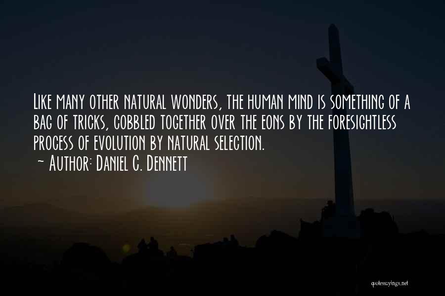 Daniel C. Dennett Quotes: Like Many Other Natural Wonders, The Human Mind Is Something Of A Bag Of Tricks, Cobbled Together Over The Eons