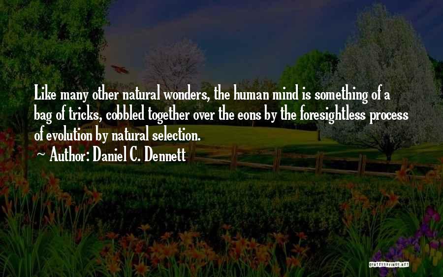 Daniel C. Dennett Quotes: Like Many Other Natural Wonders, The Human Mind Is Something Of A Bag Of Tricks, Cobbled Together Over The Eons