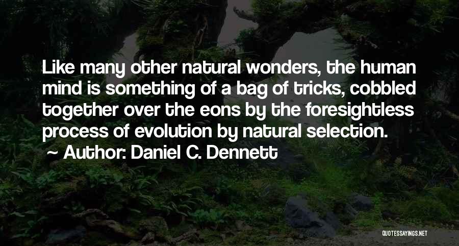 Daniel C. Dennett Quotes: Like Many Other Natural Wonders, The Human Mind Is Something Of A Bag Of Tricks, Cobbled Together Over The Eons