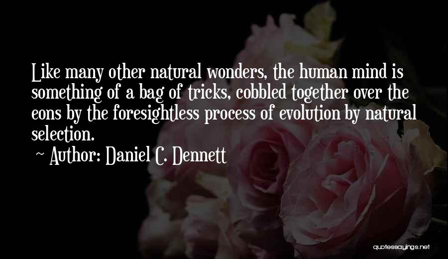 Daniel C. Dennett Quotes: Like Many Other Natural Wonders, The Human Mind Is Something Of A Bag Of Tricks, Cobbled Together Over The Eons