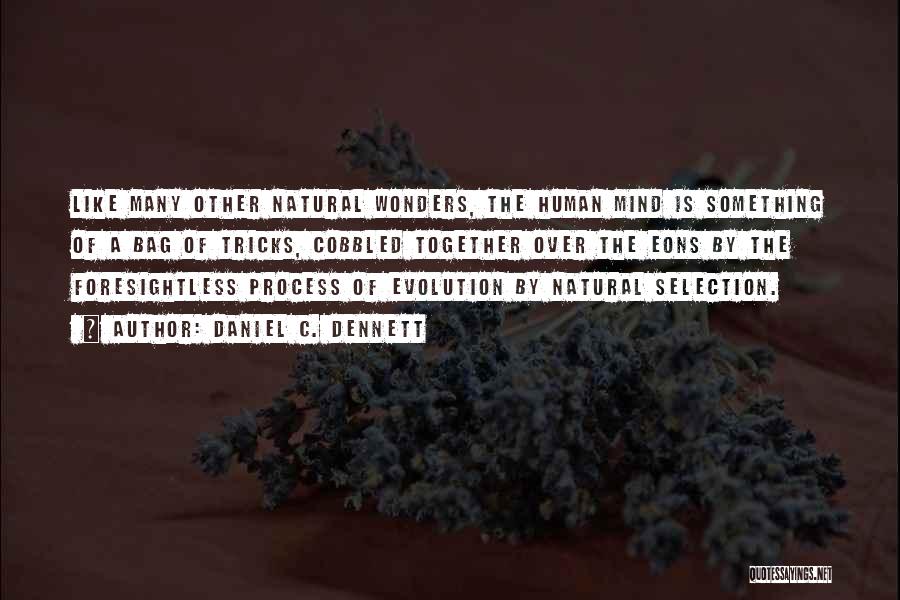 Daniel C. Dennett Quotes: Like Many Other Natural Wonders, The Human Mind Is Something Of A Bag Of Tricks, Cobbled Together Over The Eons